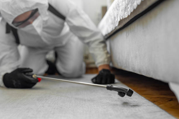 Professional Termite Control technician working in Leipsic, OH