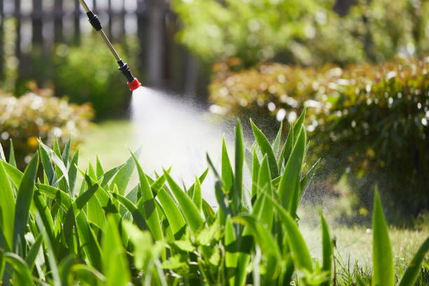 24/7 Emergency Termite Control experts in Leipsic, OH