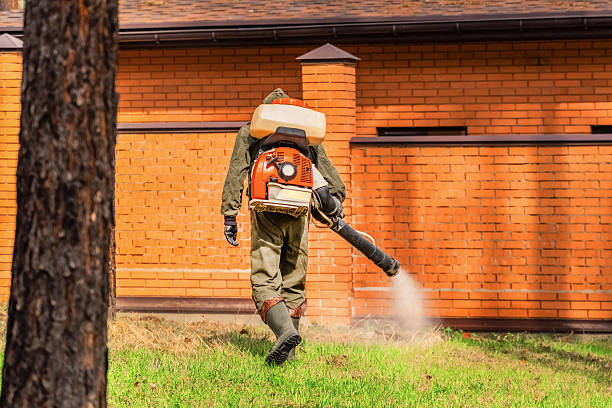 Top rated local Termite Control specialists in Leipsic, OH